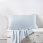 Alice Blue Silk Pillowcases UK for Sale