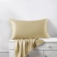 Champagne 22 Momme Mulberry Zipper Silk Pillowcase UK for Sale Champagne 22 Momme Mulberry Zipper Silk Pillowcase UK for Sale